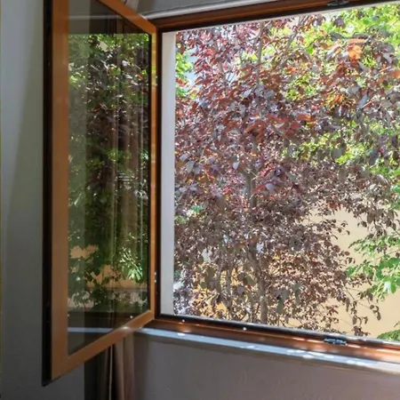 Backyard Hostel